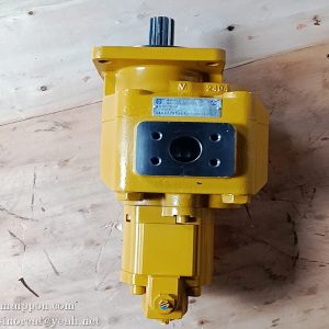 1111-0010 L JHP3113/02016-XF L  Gear Pump CHENGGONG