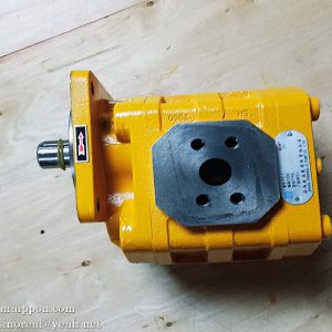 11C0026 CBGJ2050D L GEAR PUMP LIUGONG