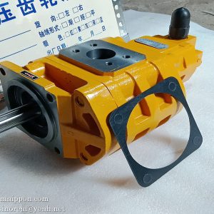 1611-0066 CBGJ3100/1010-XF L 2030500003 1455-62-25000 13080410 803004128 4120001058 LG50EX.07.03 860102759 860102632 803004539 GEAR PUMP