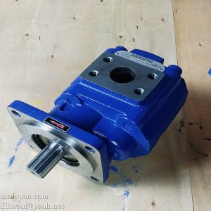 60301000038 P5100-F80NL457-97G  GEAR PUMP LONKING