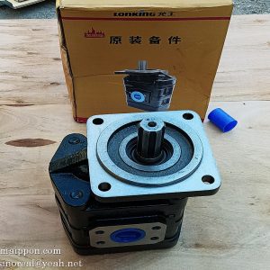 60301000041 CBGJ2080 60301000072 LG853.06.08 GEAR PUMP LONKING