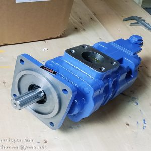 60301000060 P5100-F100NM457-97/P124-G10Y03G GEAR PUMP LONKING