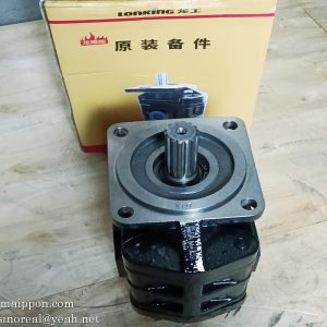 60301000326 CBGJ2080C L CBAK2080B P7600-F80NL467-6G GEAR PUMP LONKING
