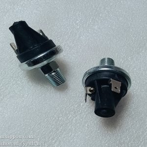 803678442 X207810(Z1-4-0.8BARR) Pressure Switch XCMG