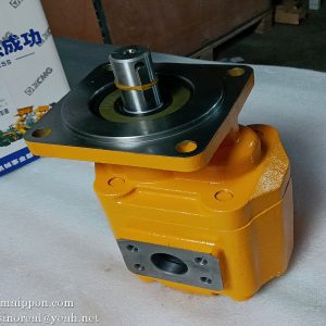 860116129 CBGJ2100 GEAR PUMP XCMG
