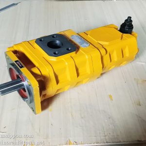 9F652-54A060000A0 CBGJ2080/1010C-XF R GEAR PUMP FOTON LOVOL FL958