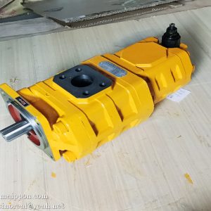 9F850-54A040000A0 CBGJ2080/1010-XF L 9F20-541700 GEAR PUMP FOTON LOVOL