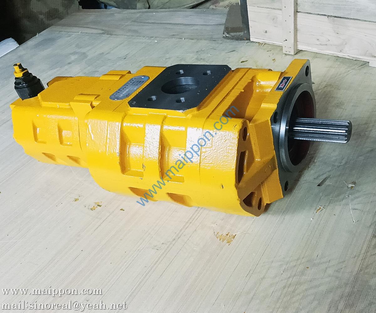 CBGJ3100/1010C-XF 4120001059 GEAR PUMP SDLG