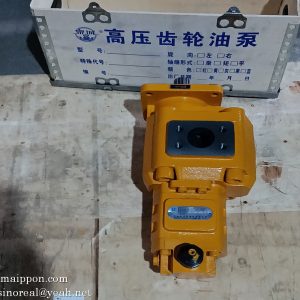CBGJ3100/1010C-XF R 2030500003 1455-62-25000 13080410 803004128 GEAR PUMP SHANTUI SL50