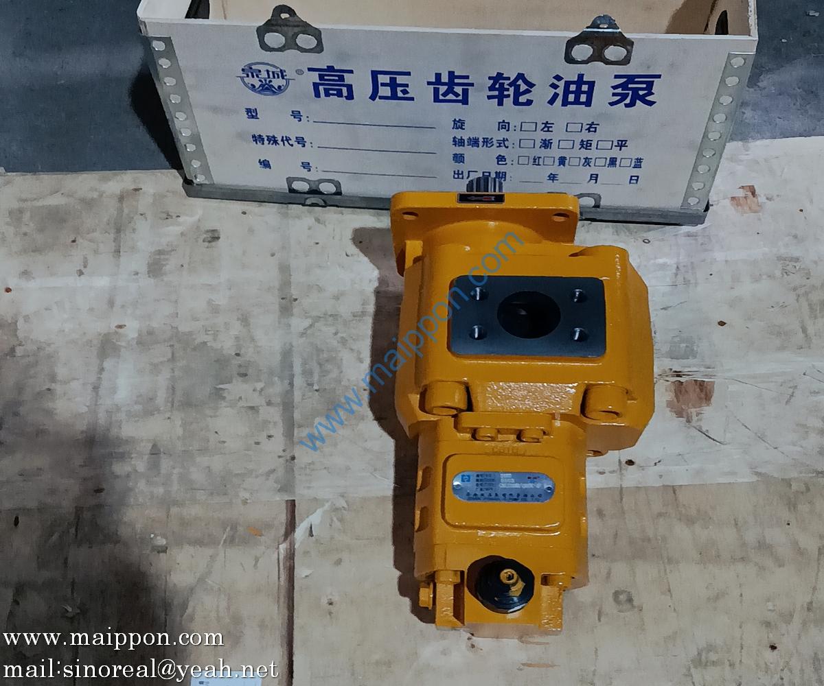 CBGJ3100/1010C-XF R 2030500003 1455-62-25000 13080410 803004128 GEAR PUMP SHANTUI SL50