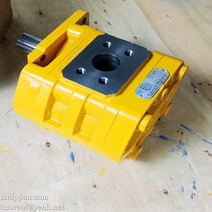W-01-00021 CBGJ3100L GEAR PUMP CHANGLIN