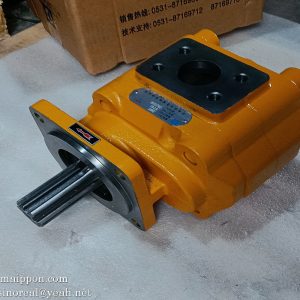 W-01-00021 CBGJ3100 L GEAR PUMP CHANGLIN