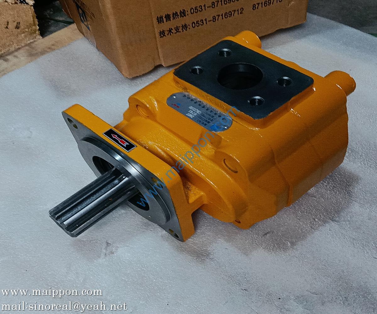 W-01-00021 CBGJ3100 L GEAR PUMP CHANGLIN