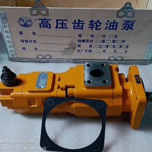 W-01-00033 CBGJ2063/1016-XF L GEAR PUMP CHANGLIN