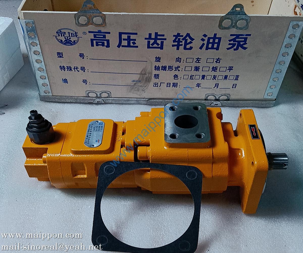 W-01-00033 CBGJ2063/1016-XF L GEAR PUMP CHANGLIN
