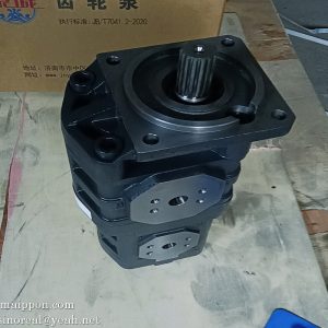 W-01-00034 CBGJ2045/1025  GEAR PUMP CHANGLIN