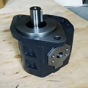 W-01-0007 CBGJ1A045 Gear Pump Changlin