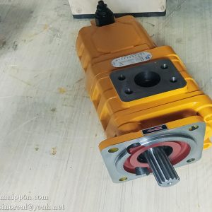 W-01-00102 CBGJ2063/1016-XFS GEAR PUMP CHANGLIN