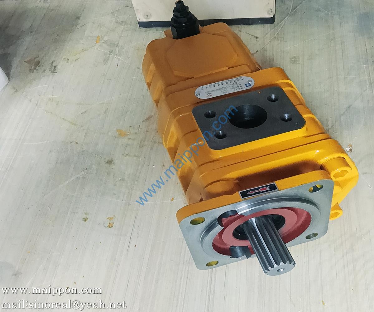 W-01-00102 CBGJ2063/1016-XFS GEAR PUMP CHANGLIN