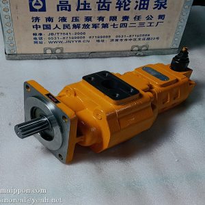 W-01-00102 CBGJ2063/1016-XF GEAR PUMP CHANGLIN