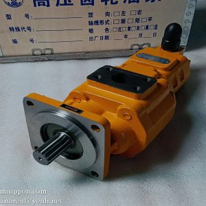 W-01-00102 CBGJ2063/1016S-XF GEAR PUMP CHANGLIN