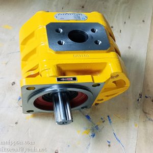 W-01-00103 CBGJ3100-S GEAR PUMP  CHANGLIN