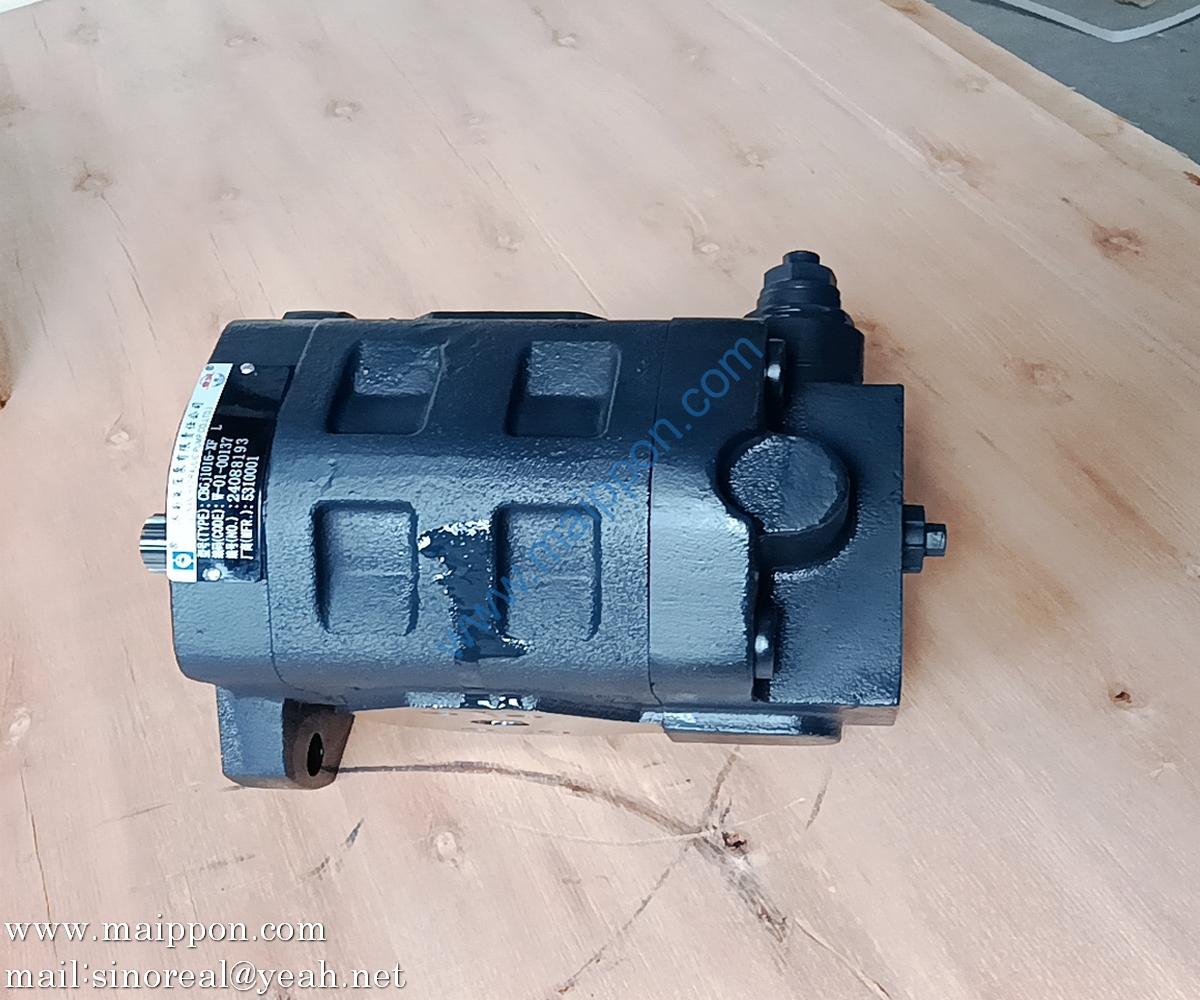 W-01-00137 CBGJ1016-XF GEAR PUMP CHANGLIN