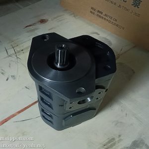 W-01-00138 CBGJ1045/1025 GEAR PUMP CHANGLIN