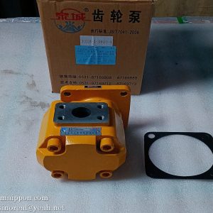 W-01-00140 JHP2080S GEAR PUMP CHANGLIN
