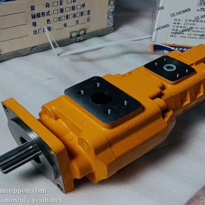 W-01-00187 CBGJ2080/GJ0020-XF GEAR PUMP CHANGLIN
