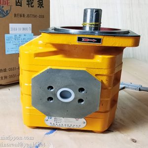 W060600000 CBGJ2040 L GEAR PUMP SEM