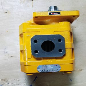 W061200000 CBGJ2100 GEAR PUMP SEM