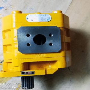 W061700000 CBGJ3100 L GEAR PUMP SEM