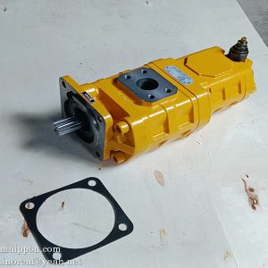 W062800000  CBGJ2080/1010C-XF L GEAR PUMP SEM