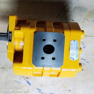 W062900000 CBGJ3100C 4120000903 GEAR PUMP SEM SDLG