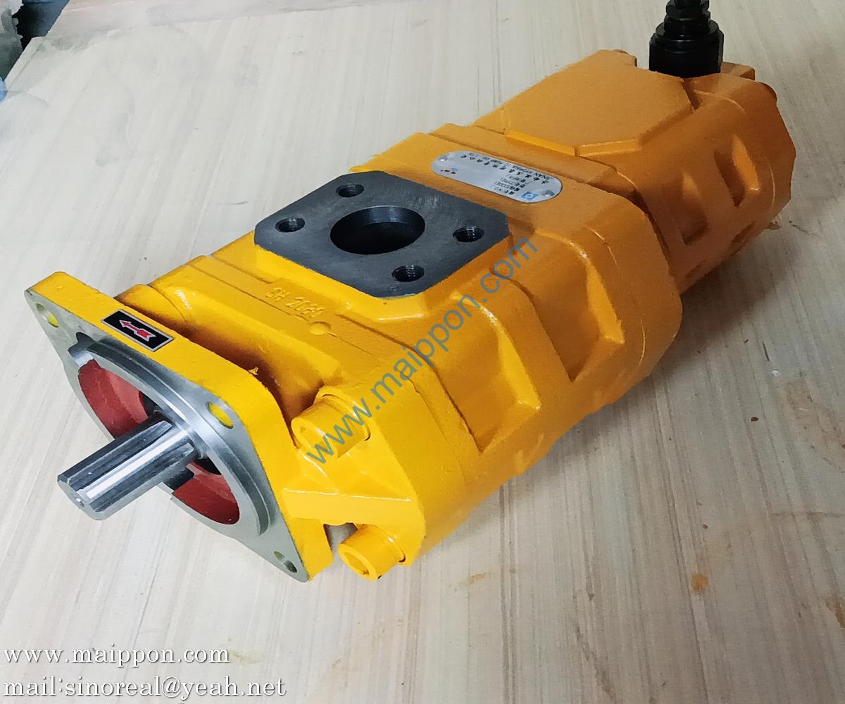 W064000000 CBGJ2080/1010-XF L GEAR PUMP SEM