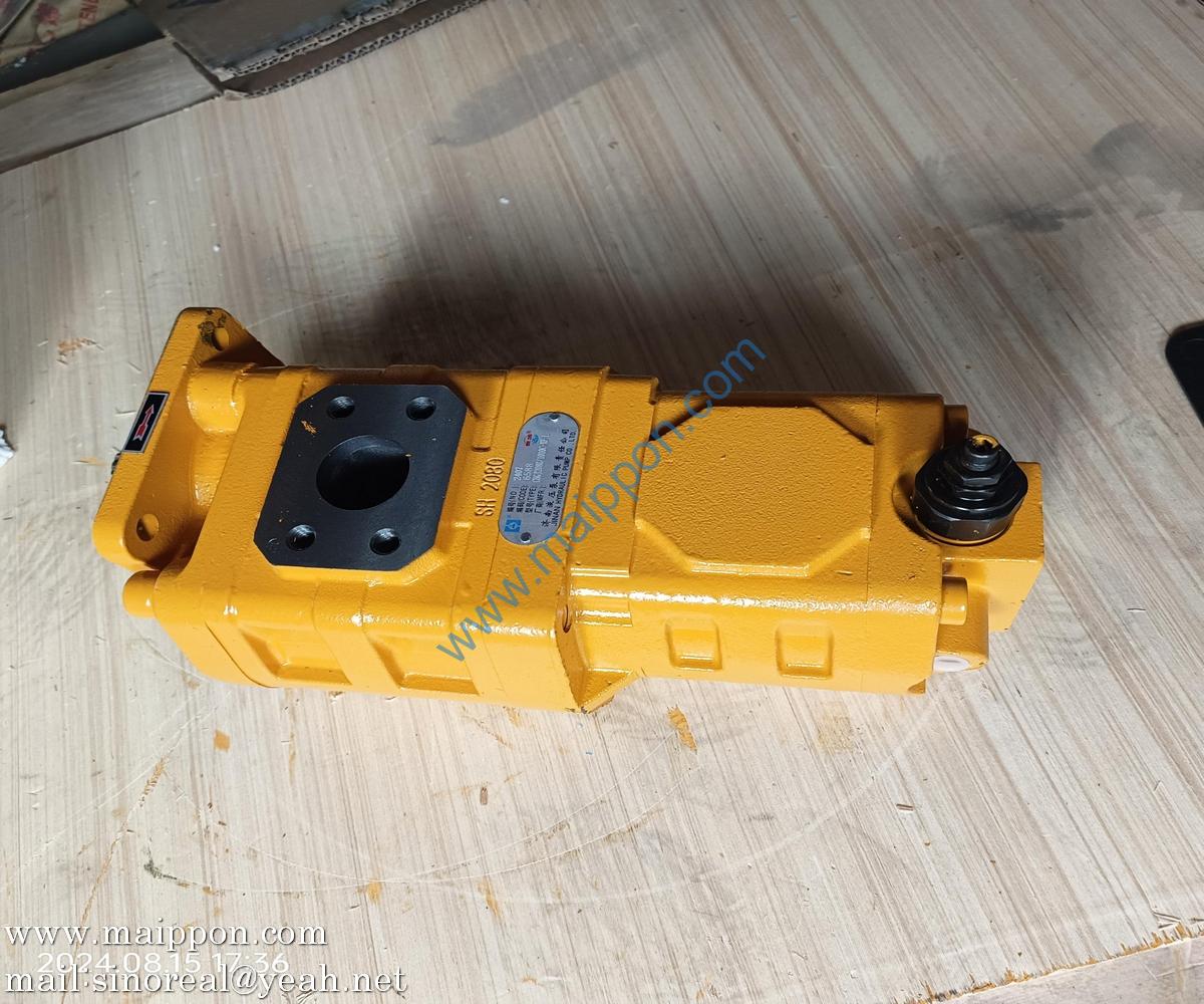 W082100000 CBGJ2080/1010C-XF L GEAR PUMP SEM
