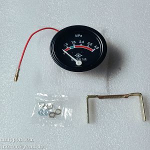 yy07098 Pressure gauge