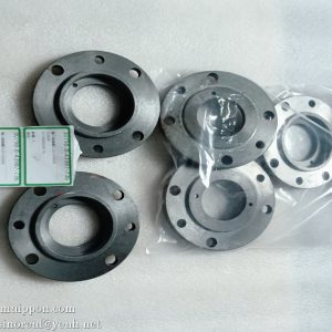 ZL20-030008 4110000038116 4110000038038 7200002286 Z00340196 860114718 Input shaft end cap