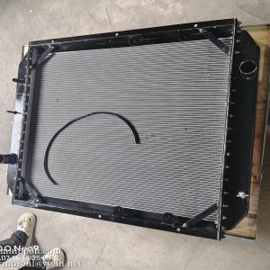 20C0102 20C0020 Water Radiator LIUGONG