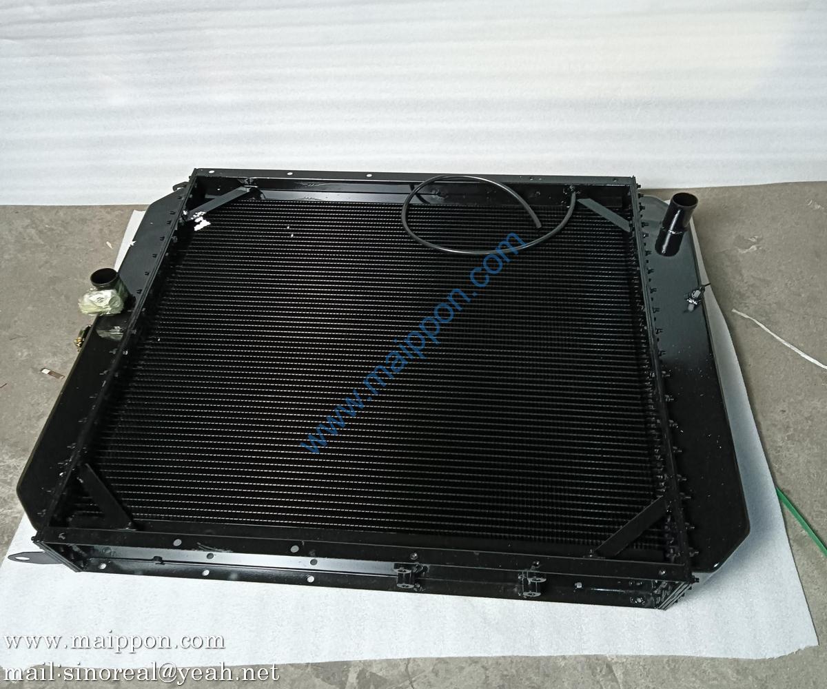 4110000481 Water Radiator Assembly SDLG