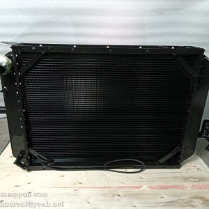 4190000460 Radiator SDLG