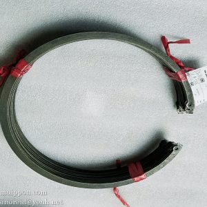 CG50.6-10 Internal Gear Retaining Ring CHENGGONG