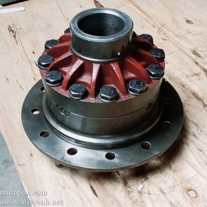 Z610240160 ZL60D.24.1-8 Differential Assembly SEM