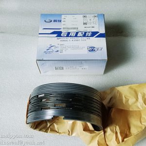 1004BB-1AD8 (K0220000-P JHZ) 6113ZG-CG20 K073CG20 piston ring FAW Power part