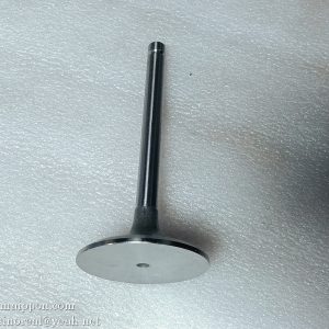 1007011A013-0000 intake valve FAW Power part