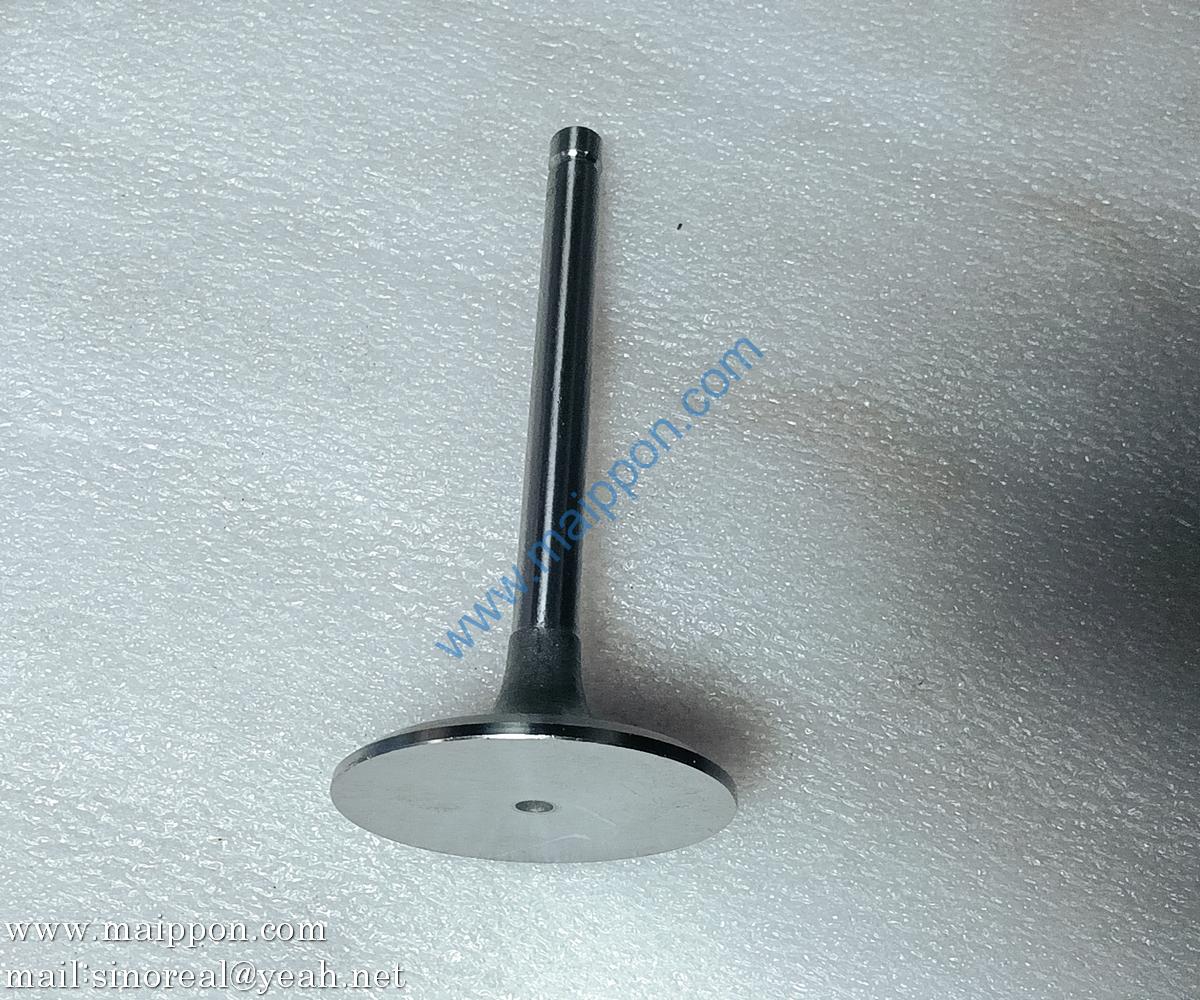 1007011A013-0000 intake valve FAW Power part