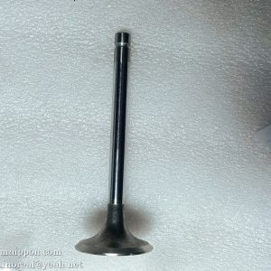 1007016A013-0000 exhaust valve FAW Power part