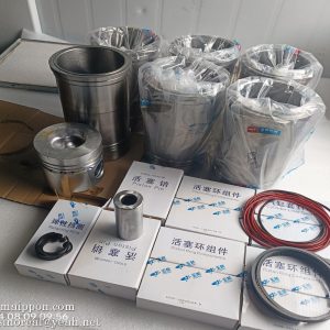 1630-1004015 Cylinder and Piston Repair Kit YC6105G 1630-9000200 Yuchai part