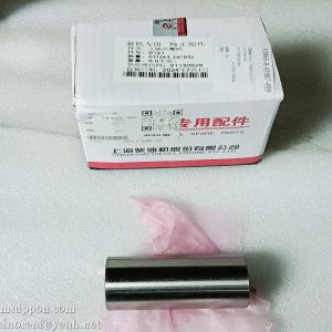 4110000186044 Piston Pin C05AL-7N9805 (C6121) SDLG Shanghai Diesel Engine  PART
